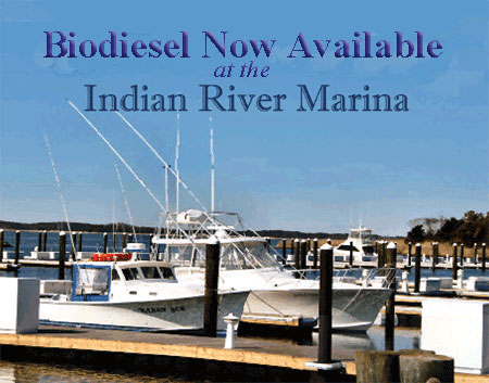 Indian River Marine Biodiesel Pump
