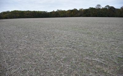 Don’t Get Caught with Your Plants Down!