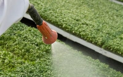 Creating a happier, healthier and more productive work force with the WPS